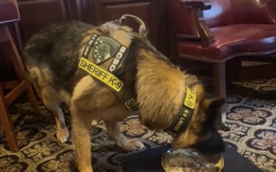 Sgt. K9 Lanzer @ Lunch in Trump Bedminster